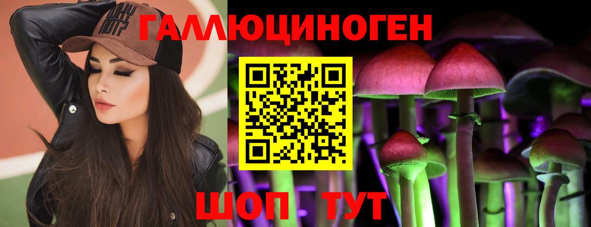 Галлюциногенные грибы Psilocybe Муравленко